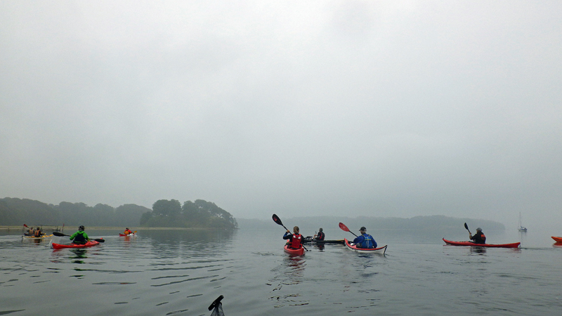 RIMG2216R 800