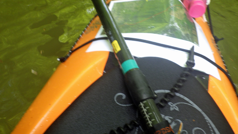 RIMG2812R 800