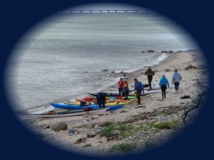nyborg kajakklub 300x225